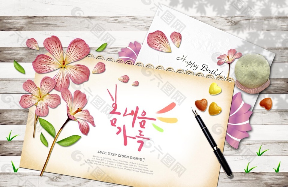韩国风格粉色花卉插画