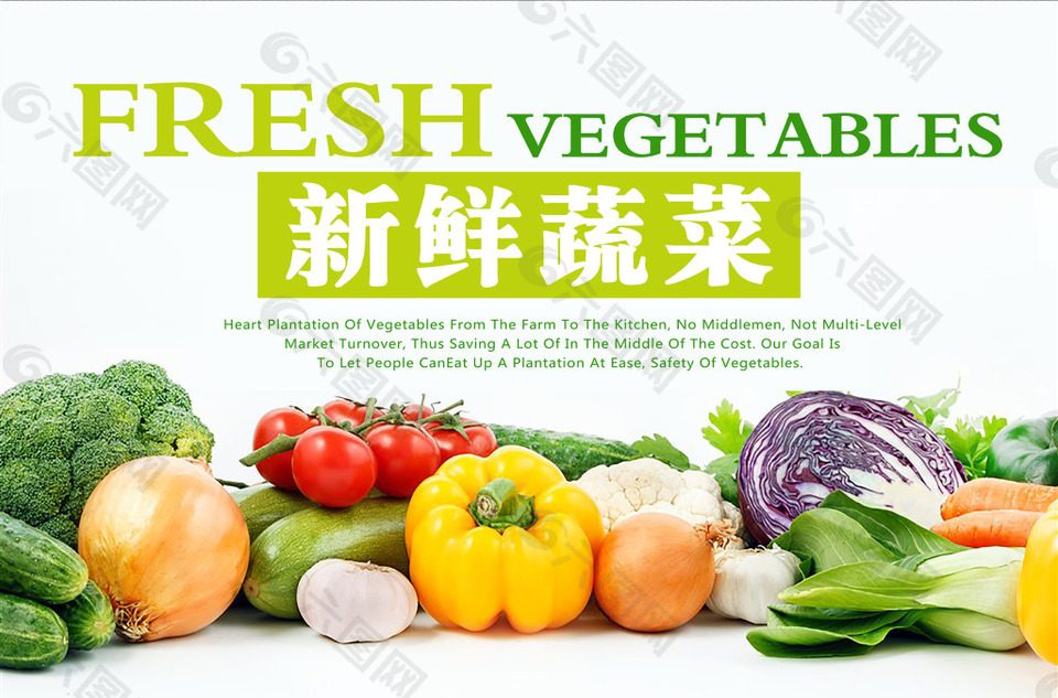 蔬菜展板