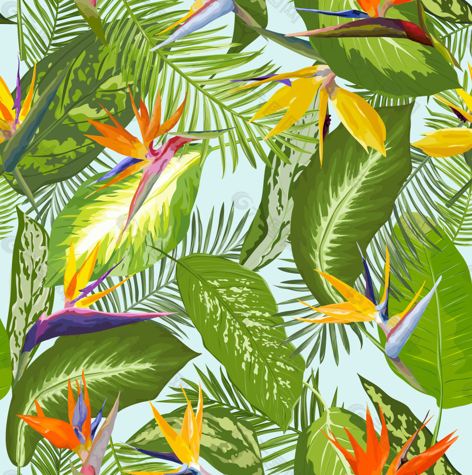 热带植物背景设计元素素材免费下载 图片编号 六图网