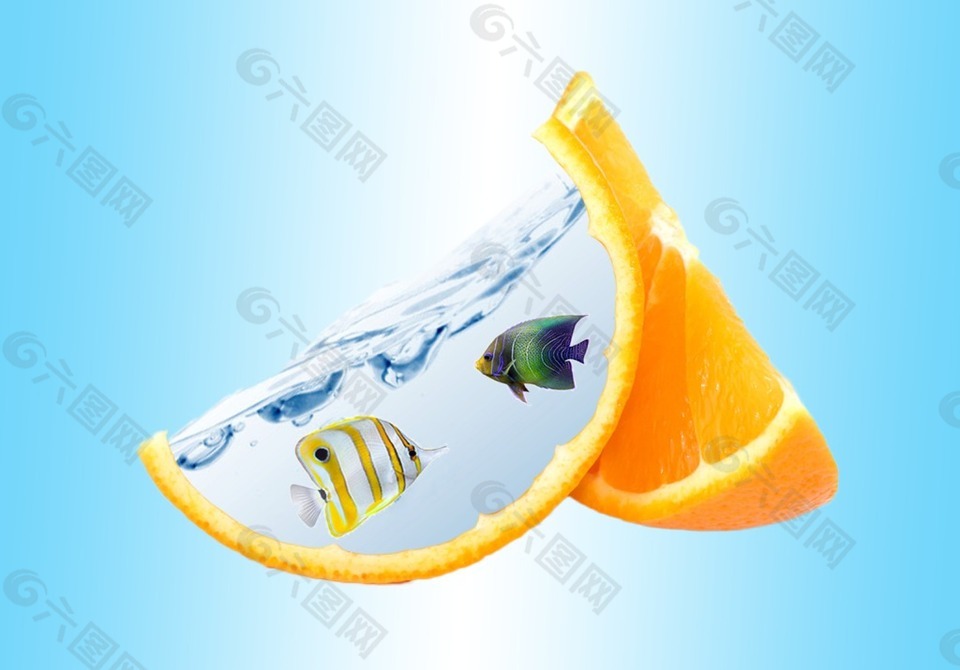 橙皮鱼缸
