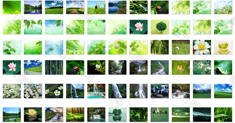 夏季绿色壁纸图片