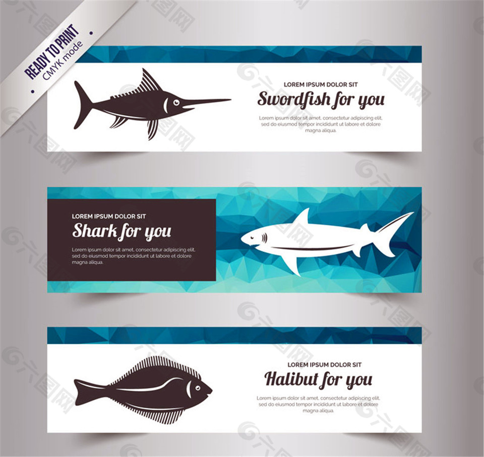 3款海洋鱼类banner矢量素材