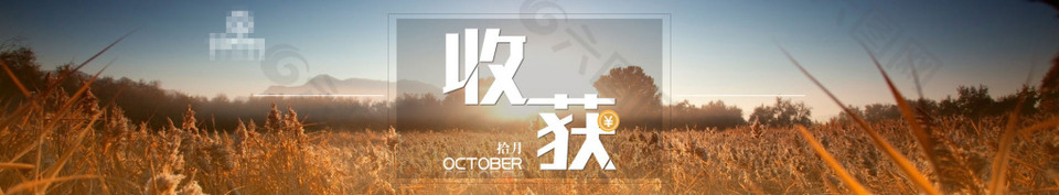 金秋十月收获季网页banner