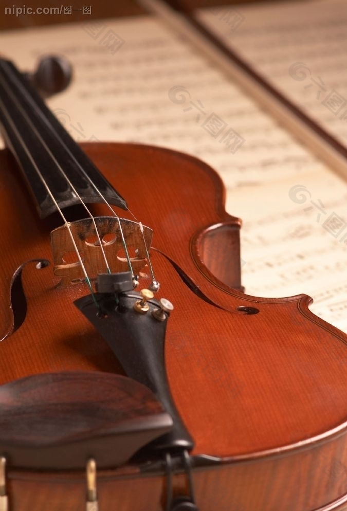 大提琴琴弦图片