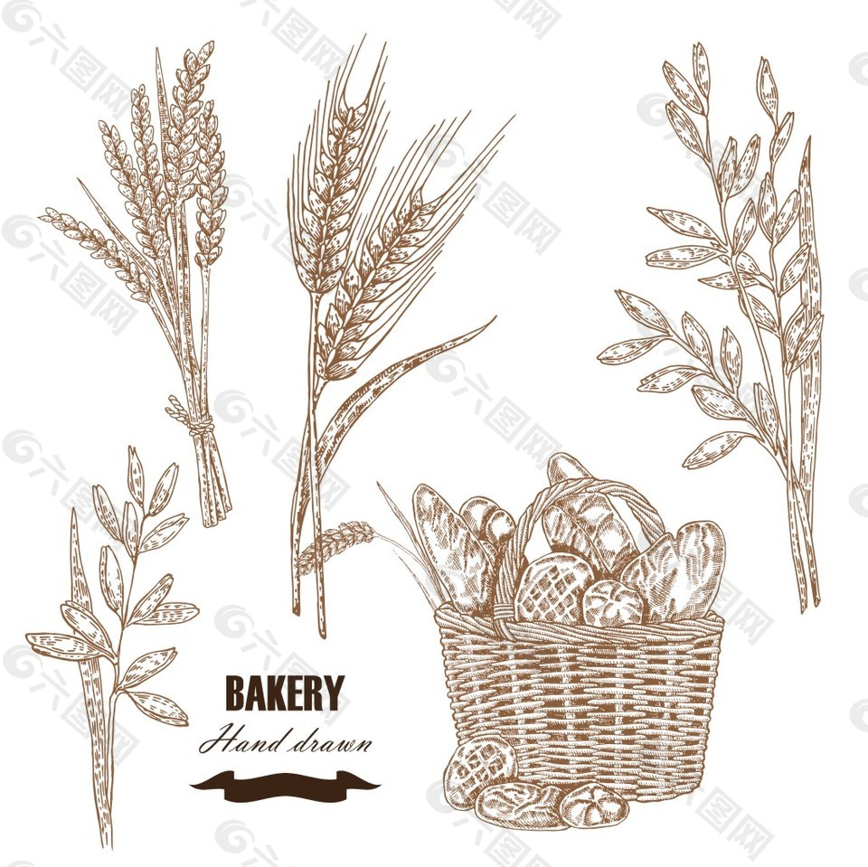 小麦与面包素描插画