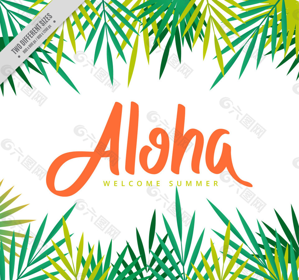 夏季植物背景素材