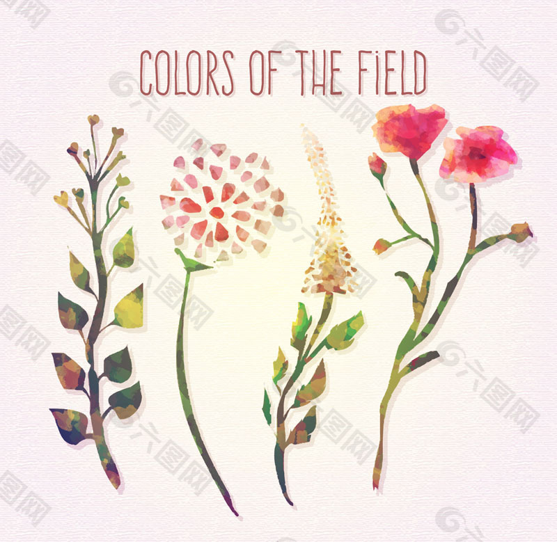 彩色花卉设计矢量素材