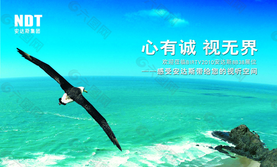 大海礁石海鸥翱翔海报