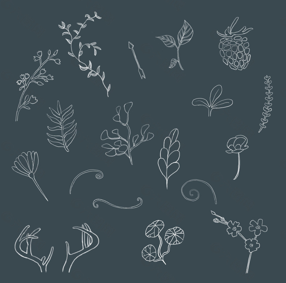 植物树叶手绘风线描设计元素素材免费下载 图片编号 六图网