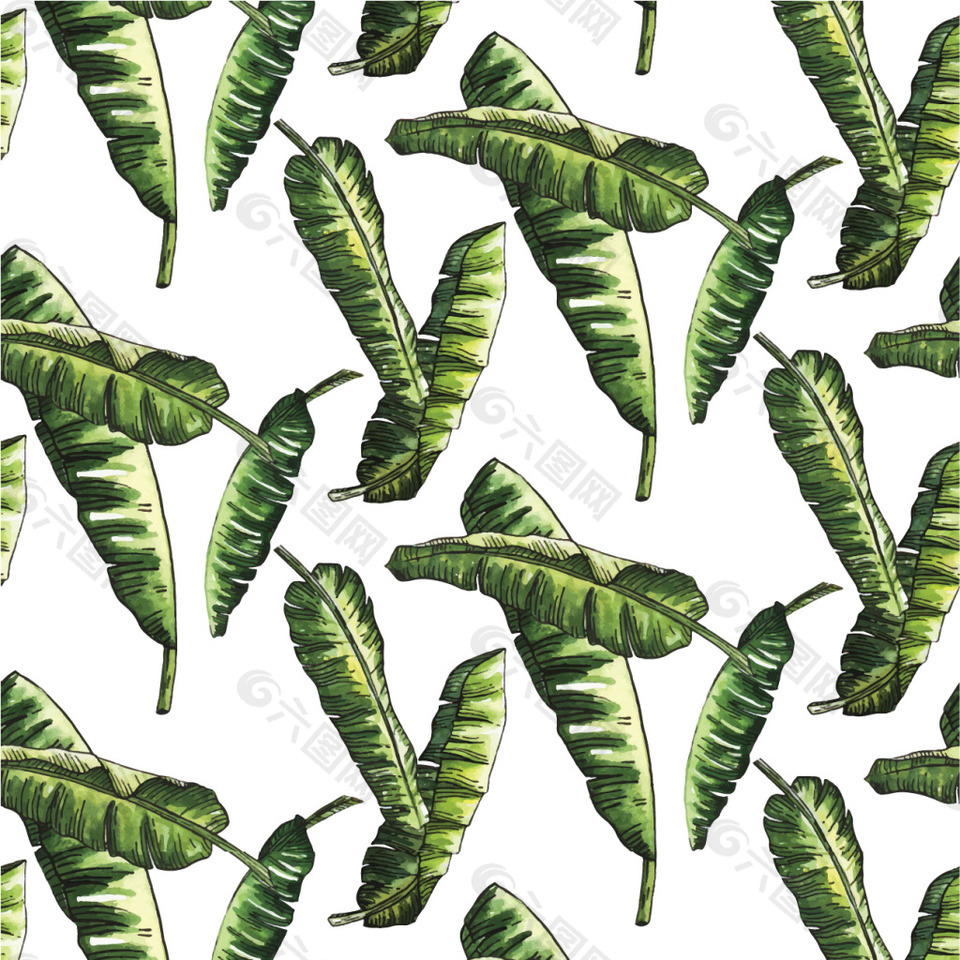 芭蕉叶子矢量素材图案