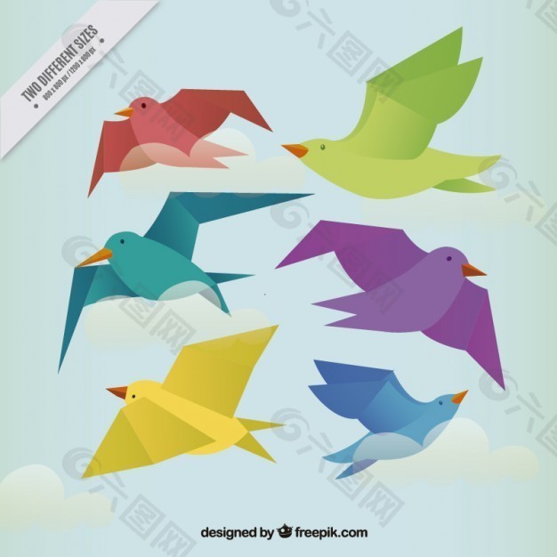 彩色鸟类在平面设计中的背景