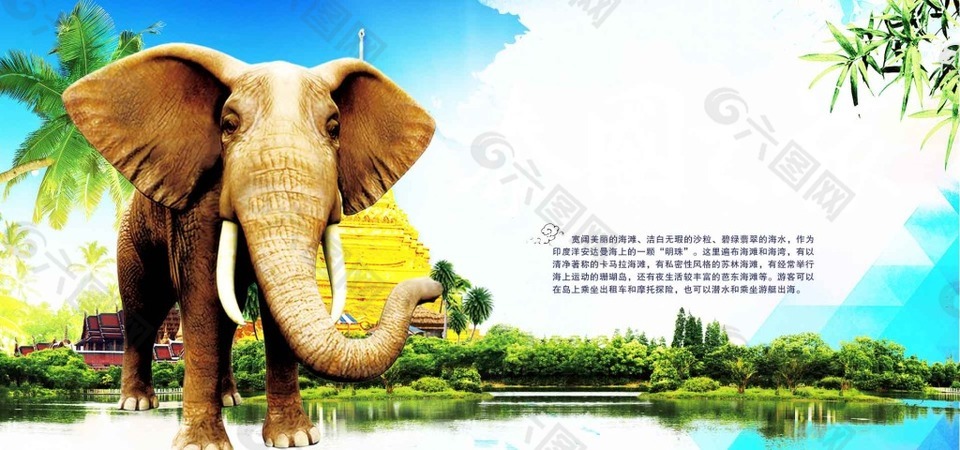 泰国大象海报