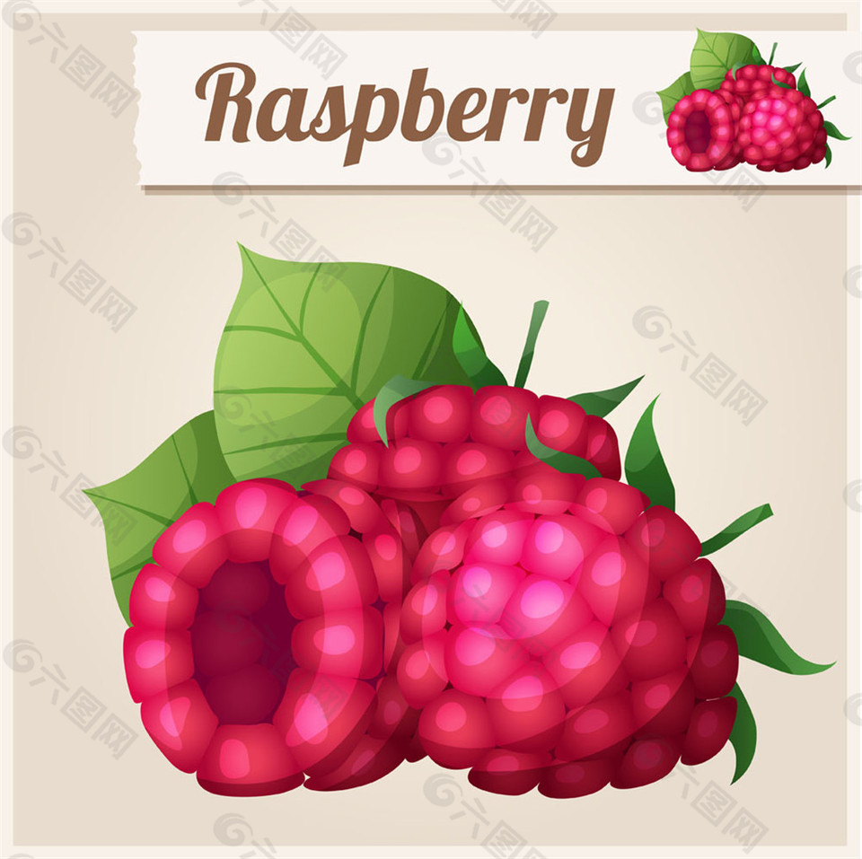 树莓图片图片