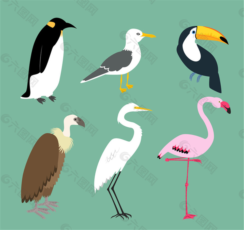 6种创意鸟类设计矢量素材