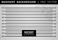 照片背景自由矢量