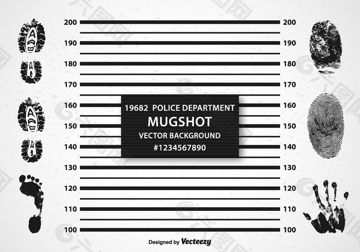 免费的照片背景矢量