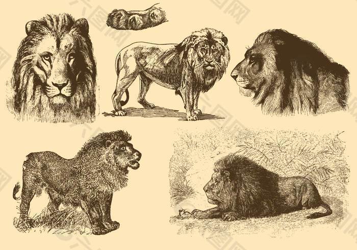 狮子老风格图纸
