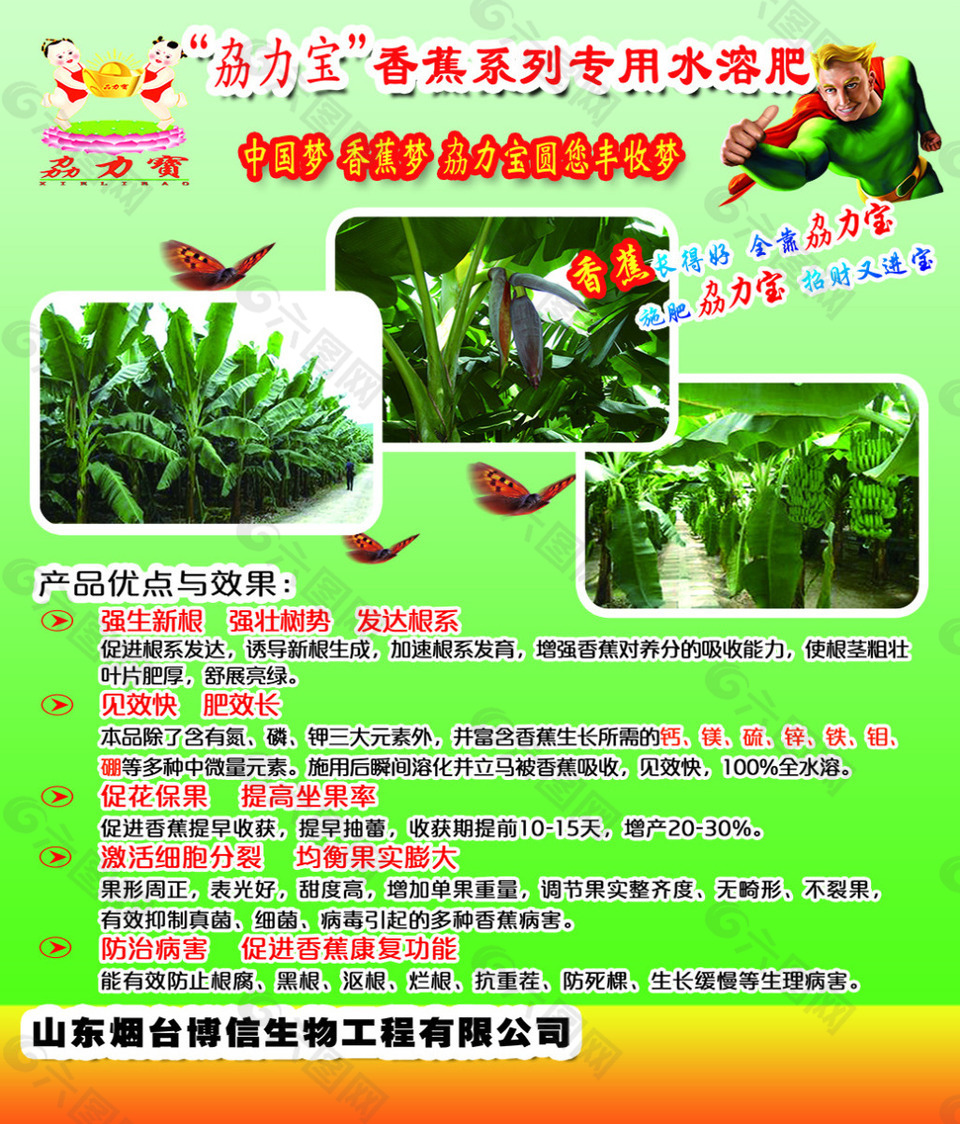 劦力宝PSD彩页香蕉系列专用水溶肥宣传单