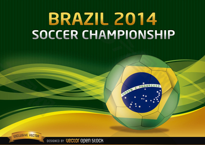 巴西2014届足球锦标赛背景