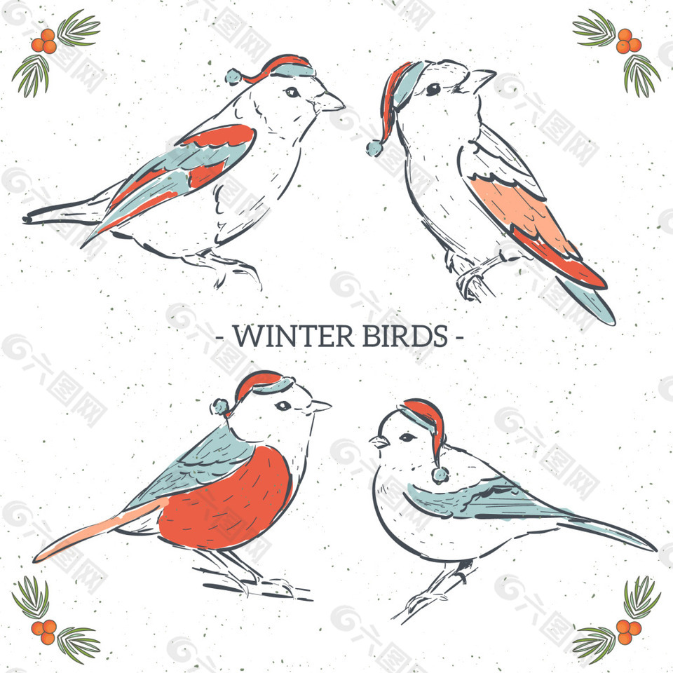 美丽的手绘冬季鸟类