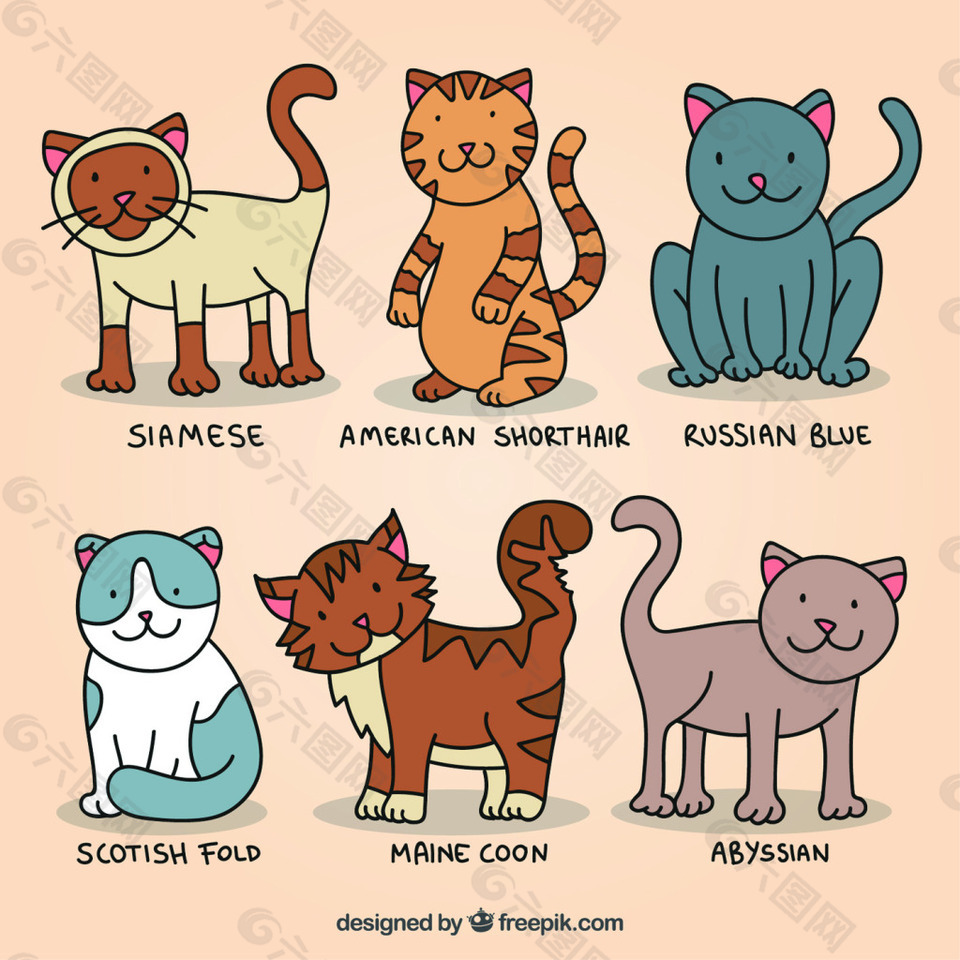 6款创意彩绘猫咪矢量素材