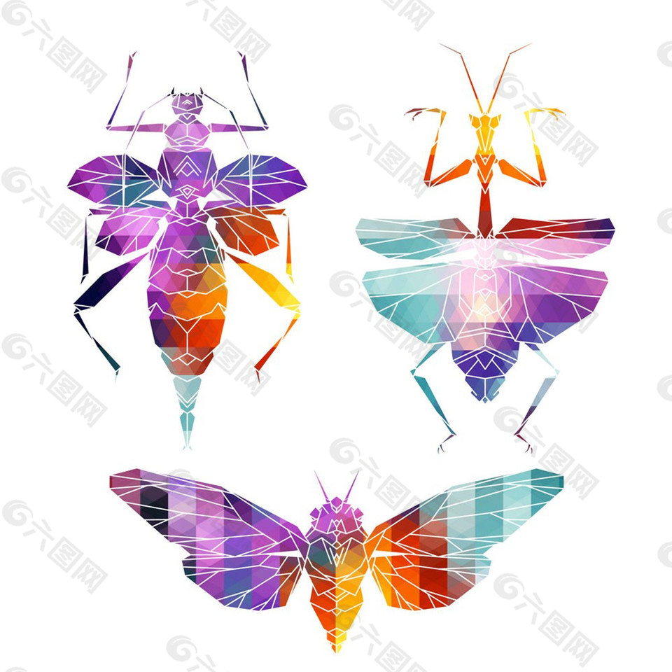 彩色的昆虫图片