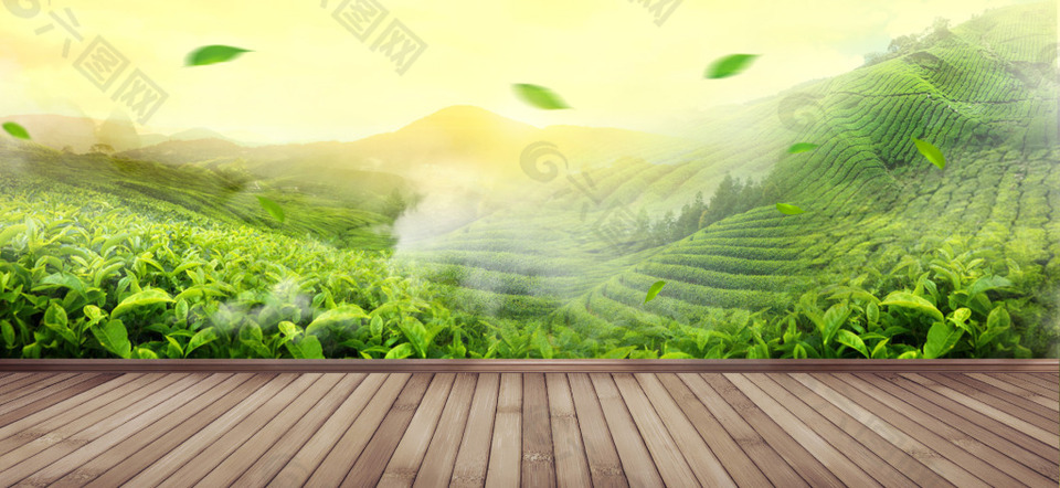 绿色 茶园 木板装饰 茶叶