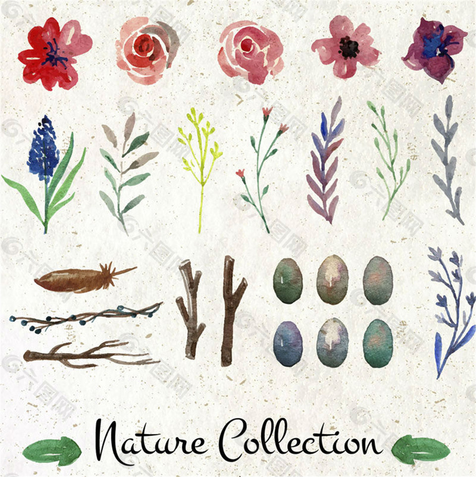 26款水彩绘植物和鸟蛋自然元素矢量素材