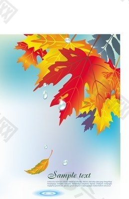 秋天的海报，在温暖的色调