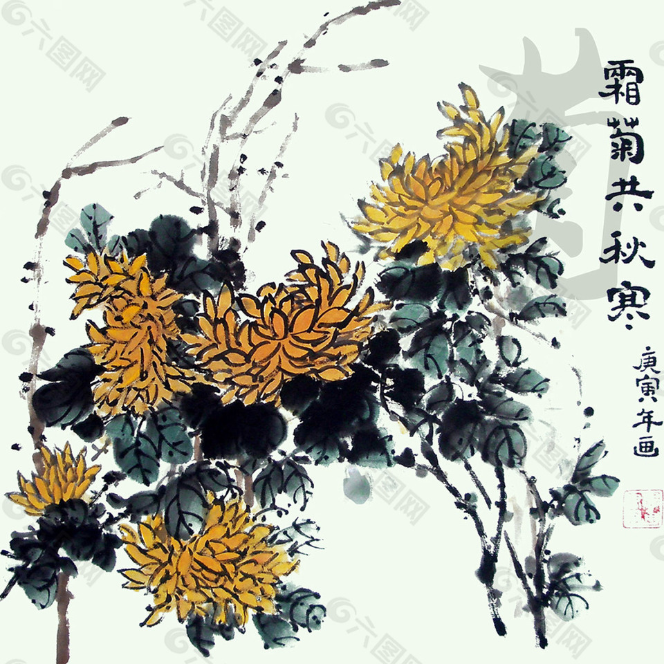 菊花素材设计图