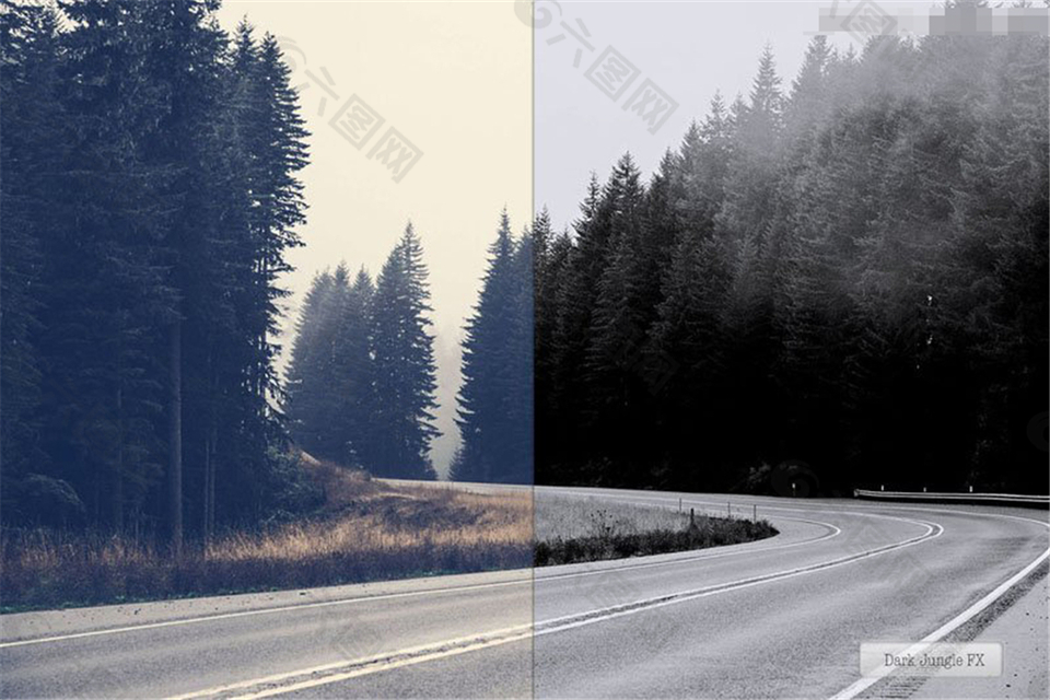 森林照片转黑白效果PS动作