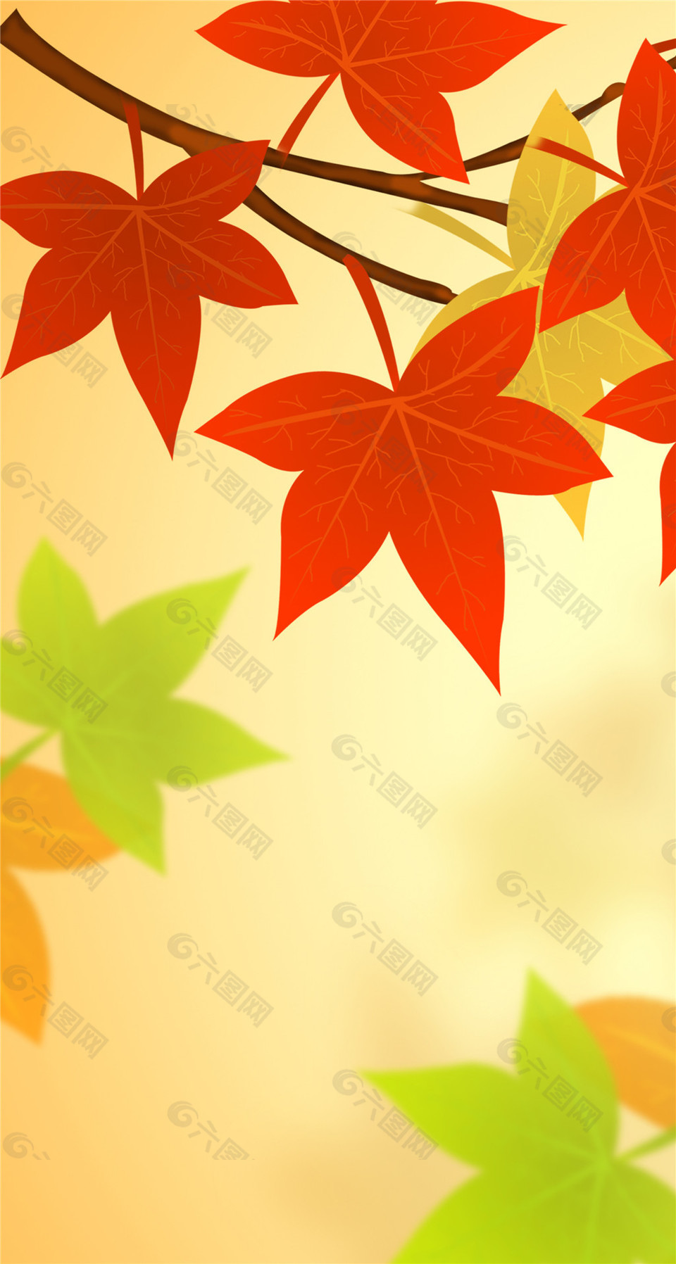 精致脉络清晰枫叶装饰画