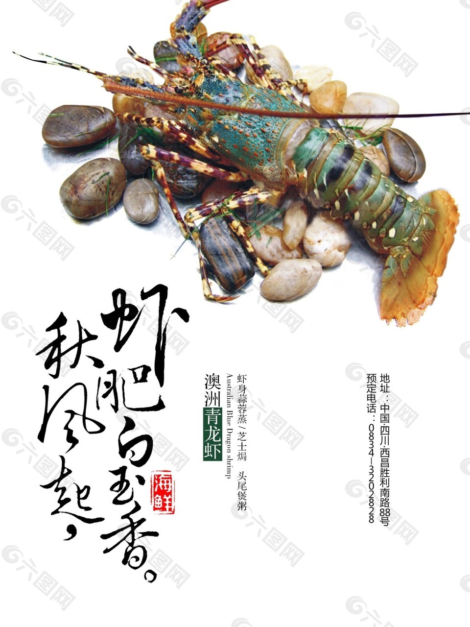 简洁澳洲龙虾宣传海报
