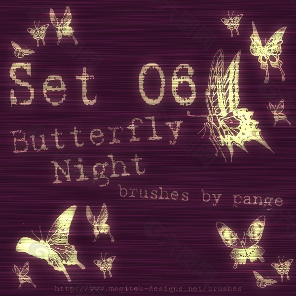 集06 -蝴蝶之夜