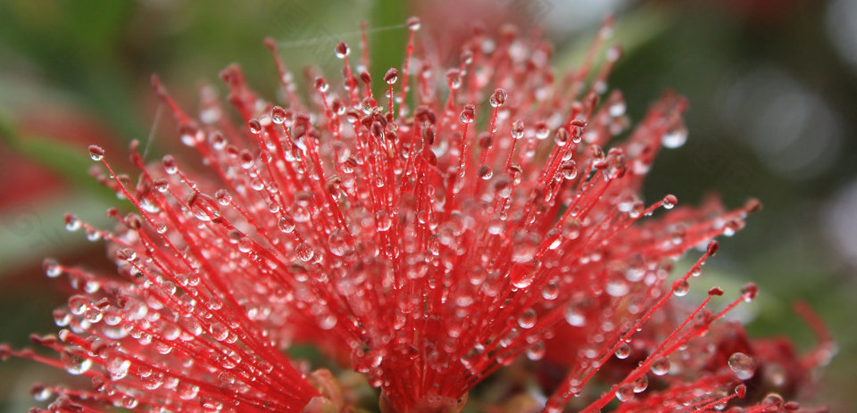 我最可怕的照片