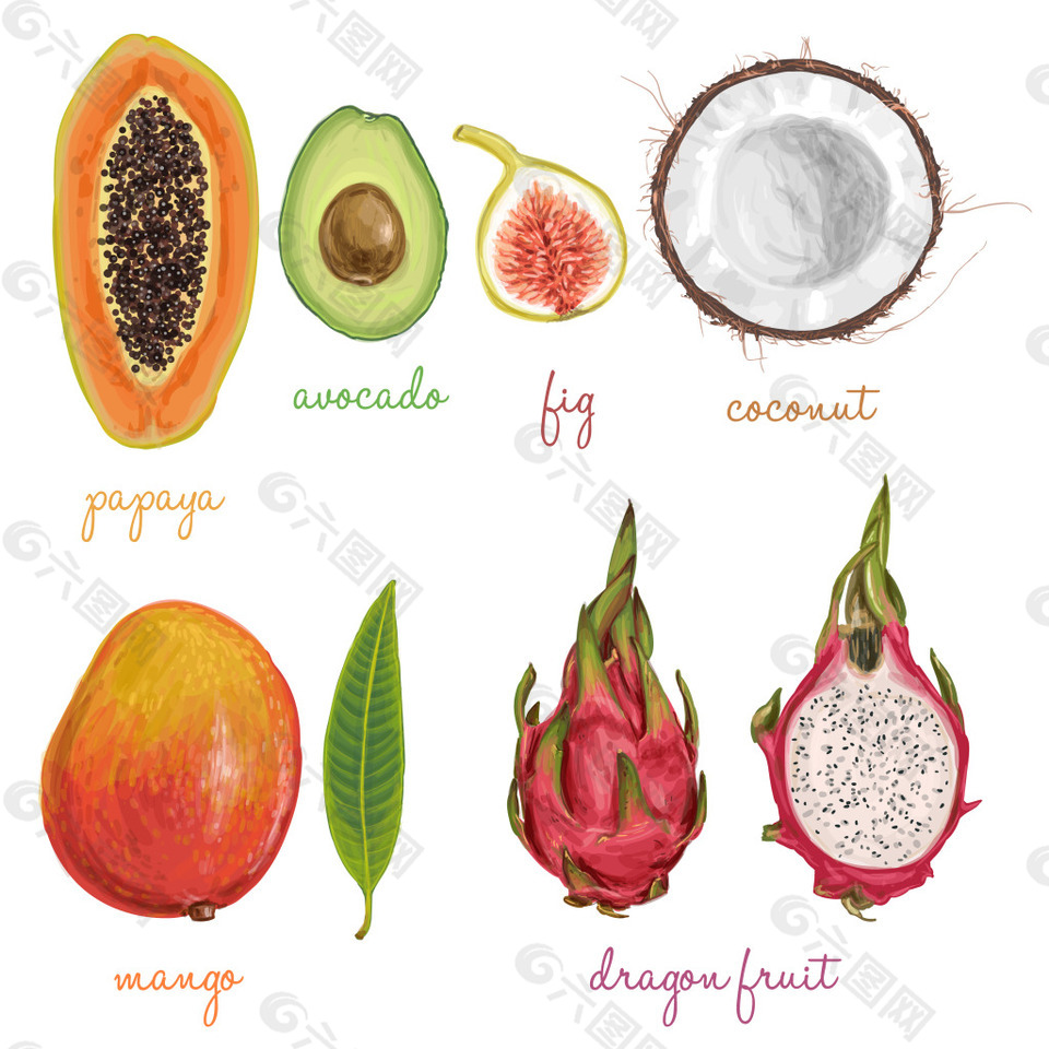 一组美味的水果剖面图
