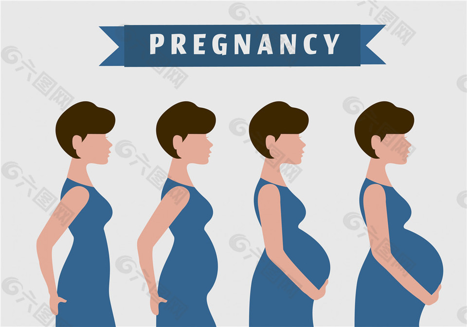 怀孕过程插画