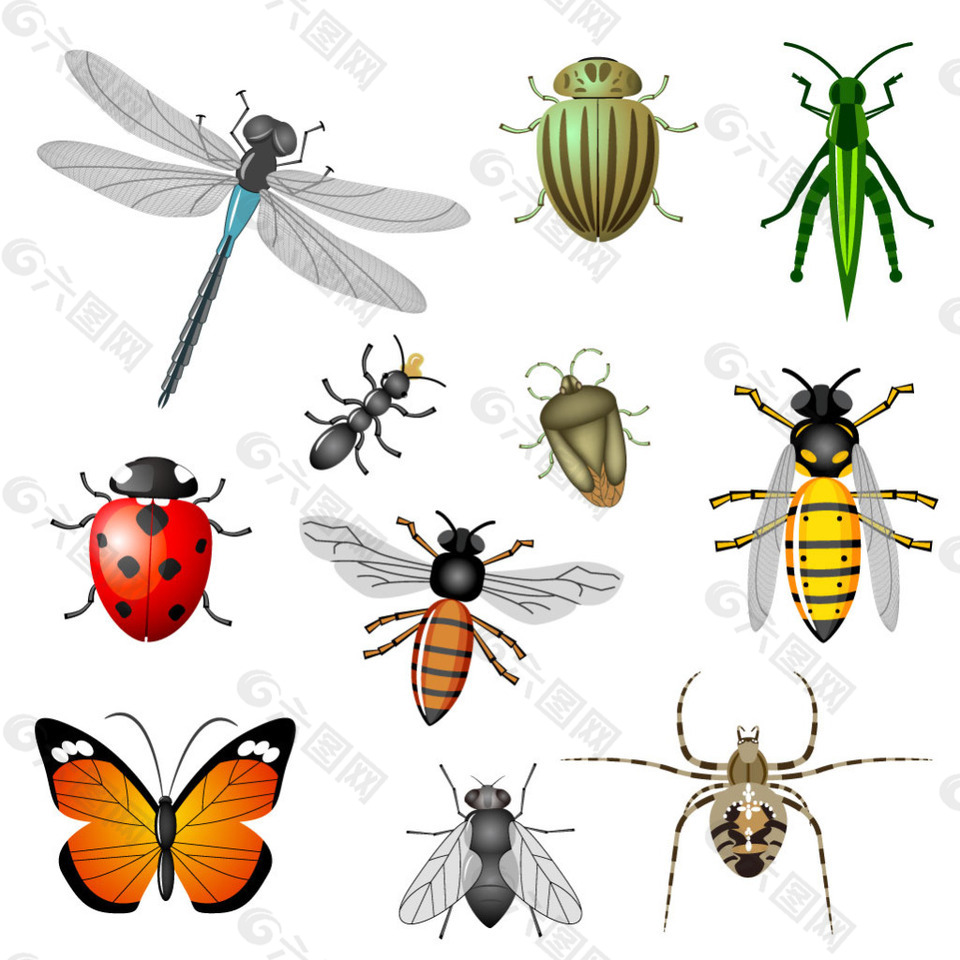 多种昆虫手绘图蝴蝶蜻蜓