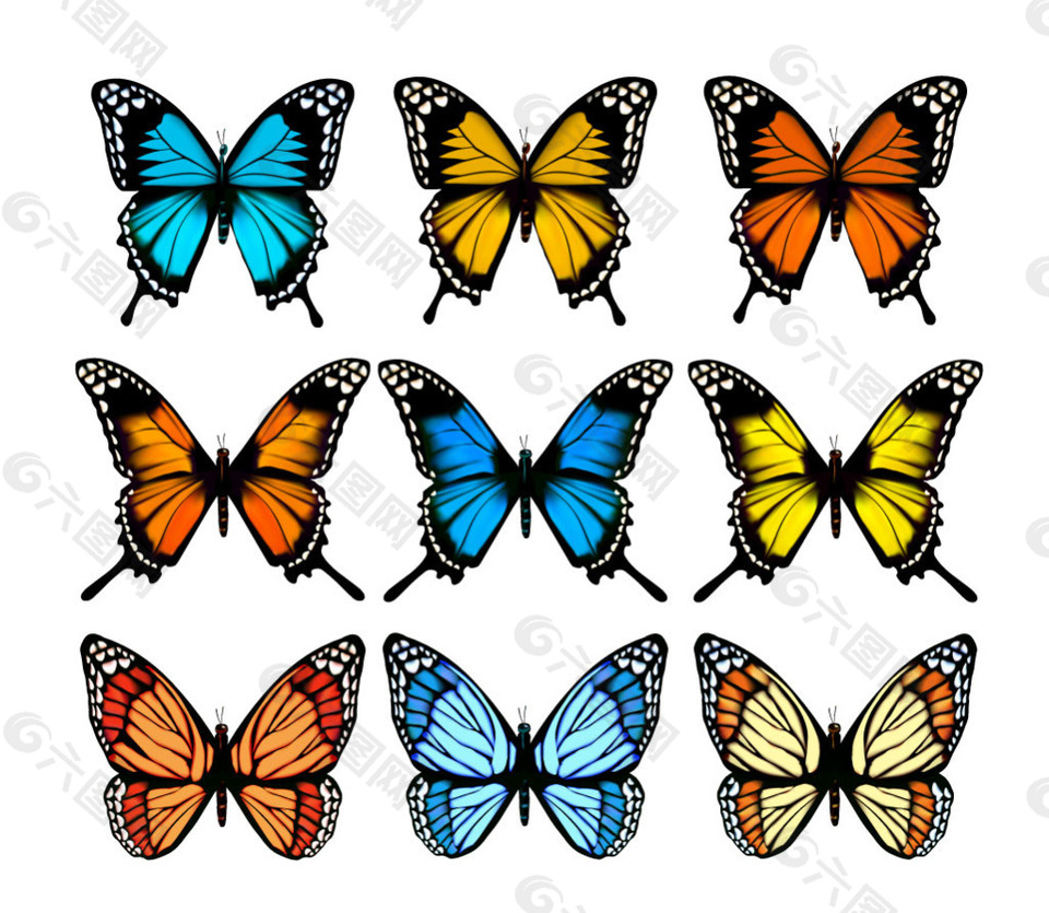 9只不同颜色的蝴蝶
