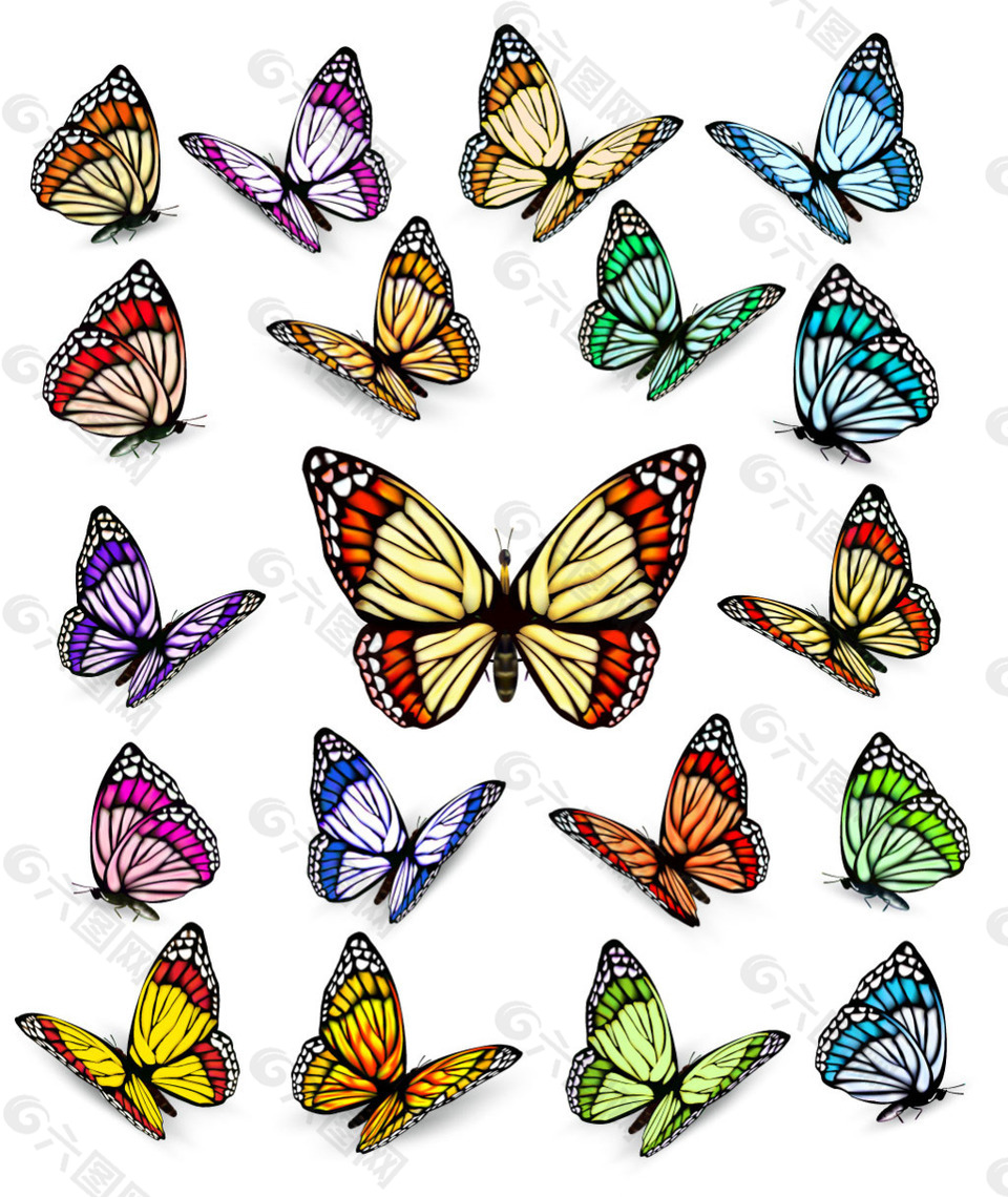 各种颜色姿态的蝴蝶
