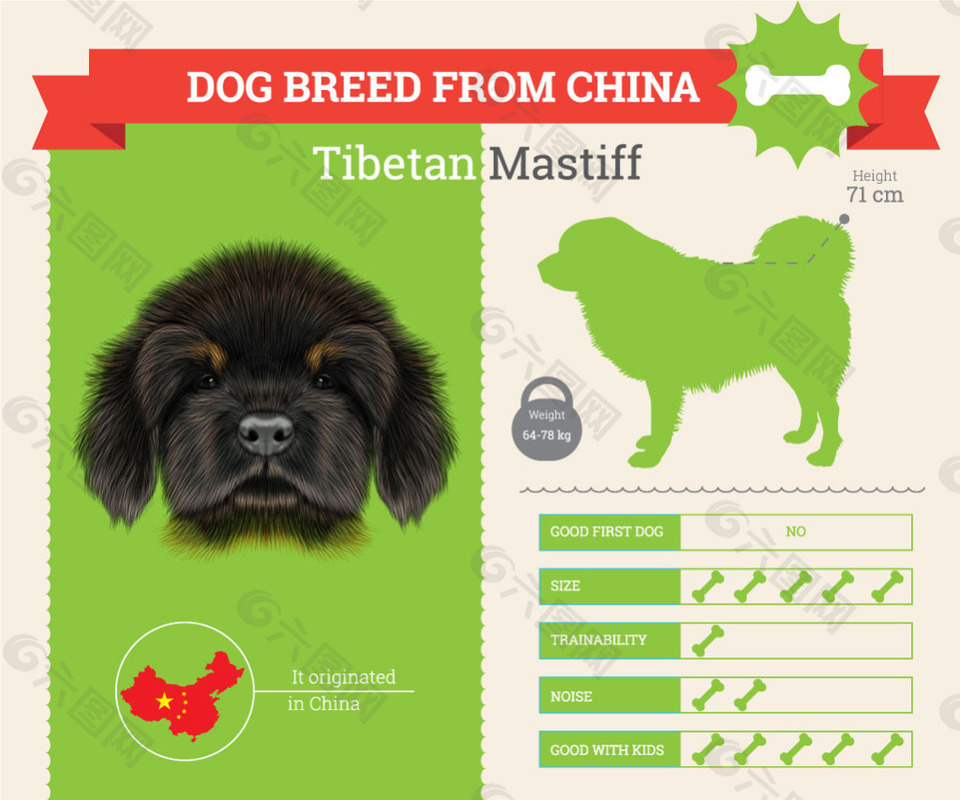 可爱小狗的血统和各种属性介绍展示模板