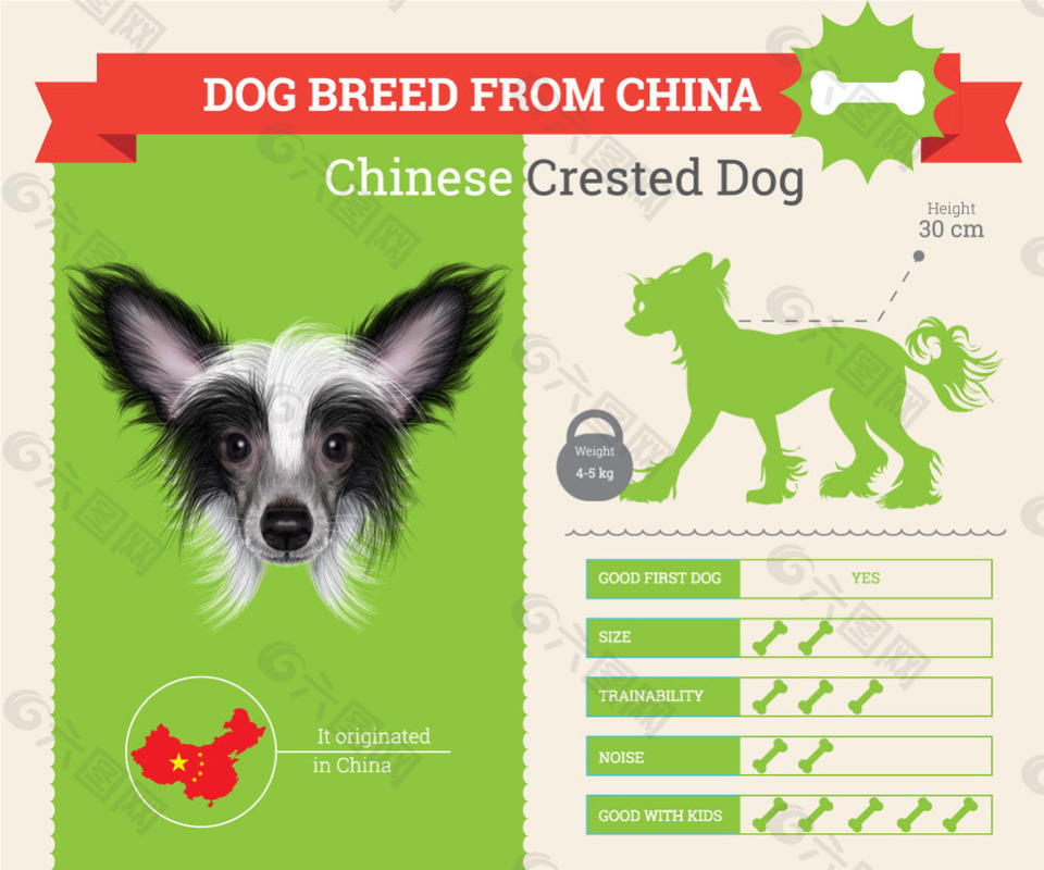 不同小狗的血统和各种属性介绍展示模板