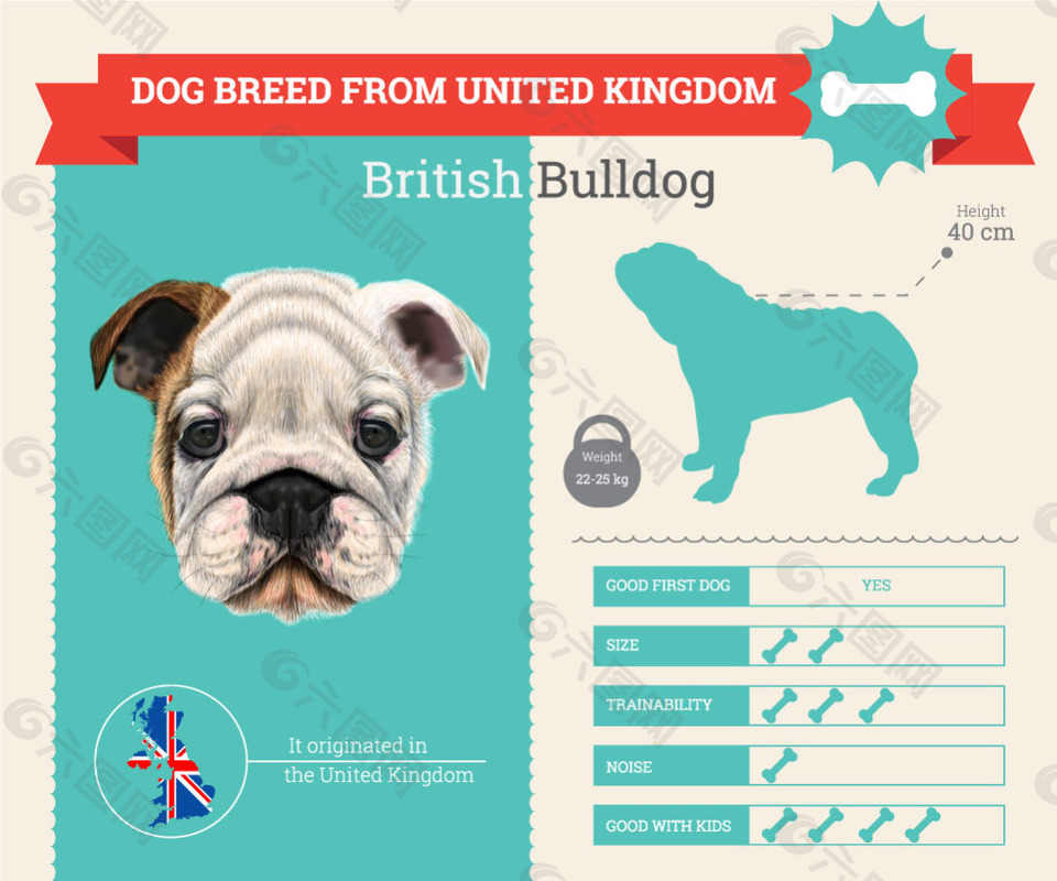 各类小狗的血统和各种属性介绍展示模板