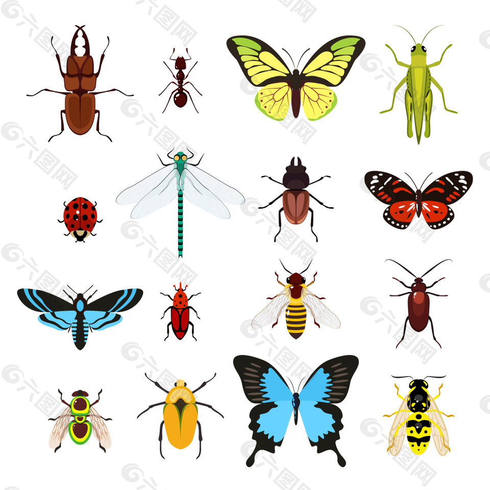 一组各种各样的小昆虫素材设计元素素材免费下载 图片编号 六图网