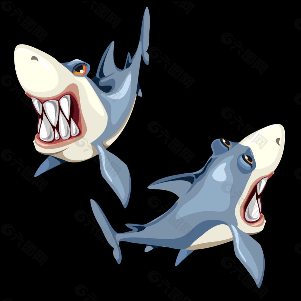 两只凶猛露牙的大鲨鱼