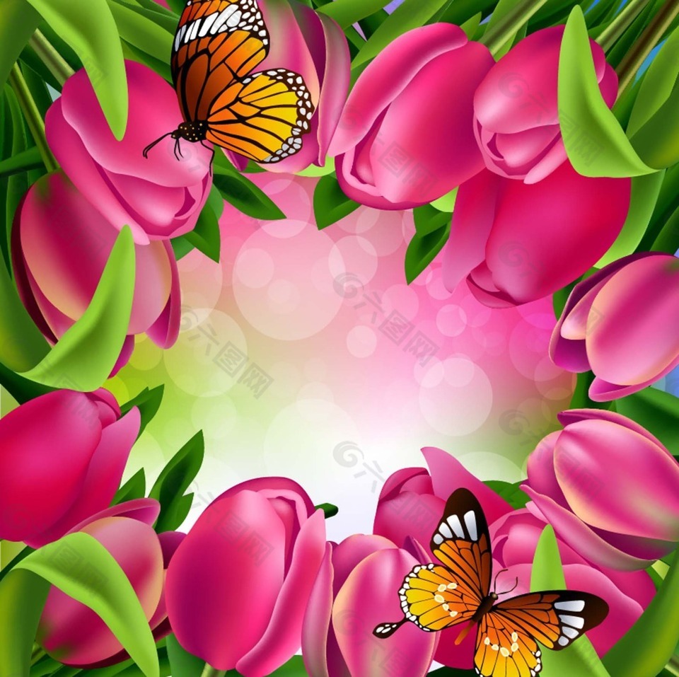 蝴蝶和郁金香