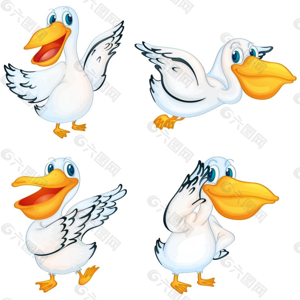 一组快乐的大嘴鹳鸟素材
