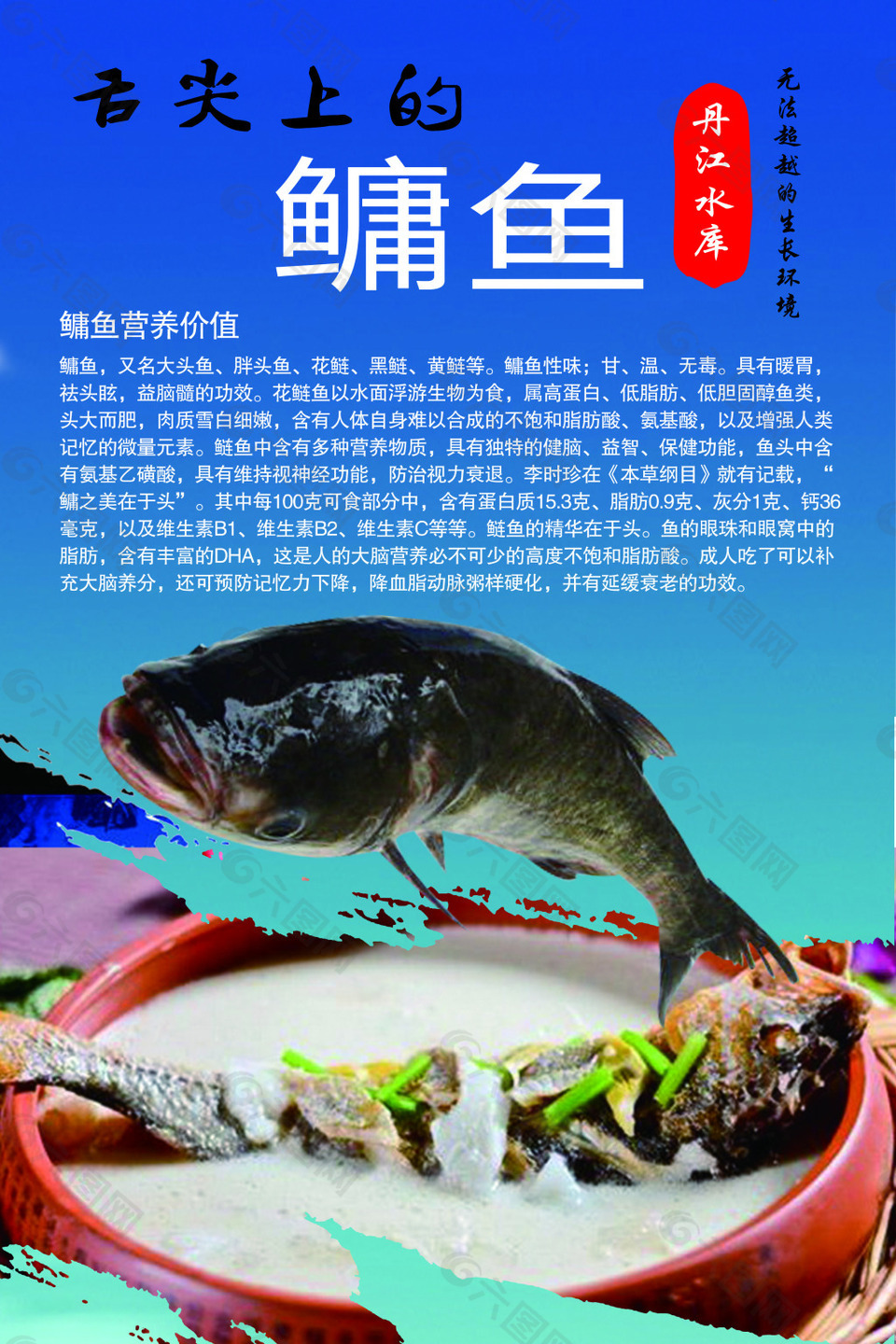 鳙鱼美食海报