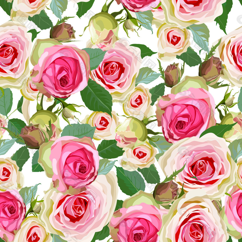 浪漫粉色玫瑰背景