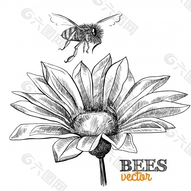 手绘背景与花和蜜蜂